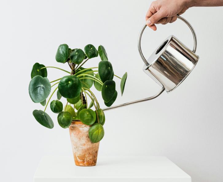 Bits and Pots