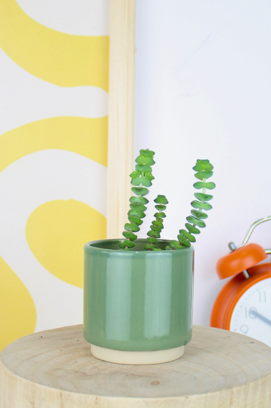 Lil String of Buttons