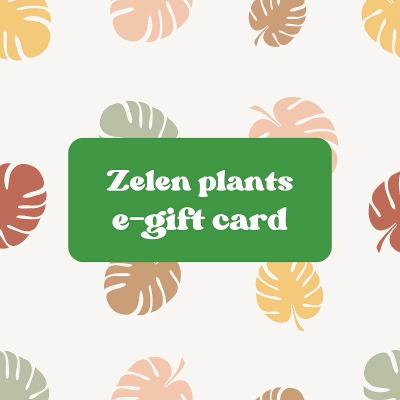 Zelen Gift Card