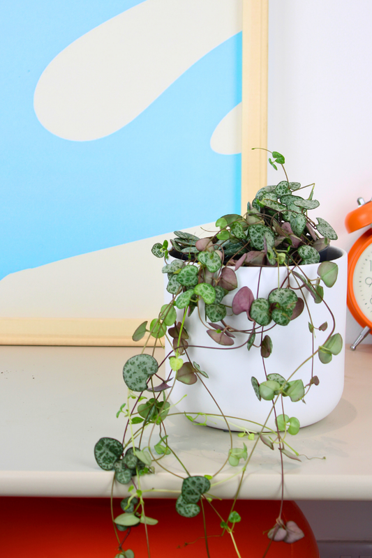 String of Hearts