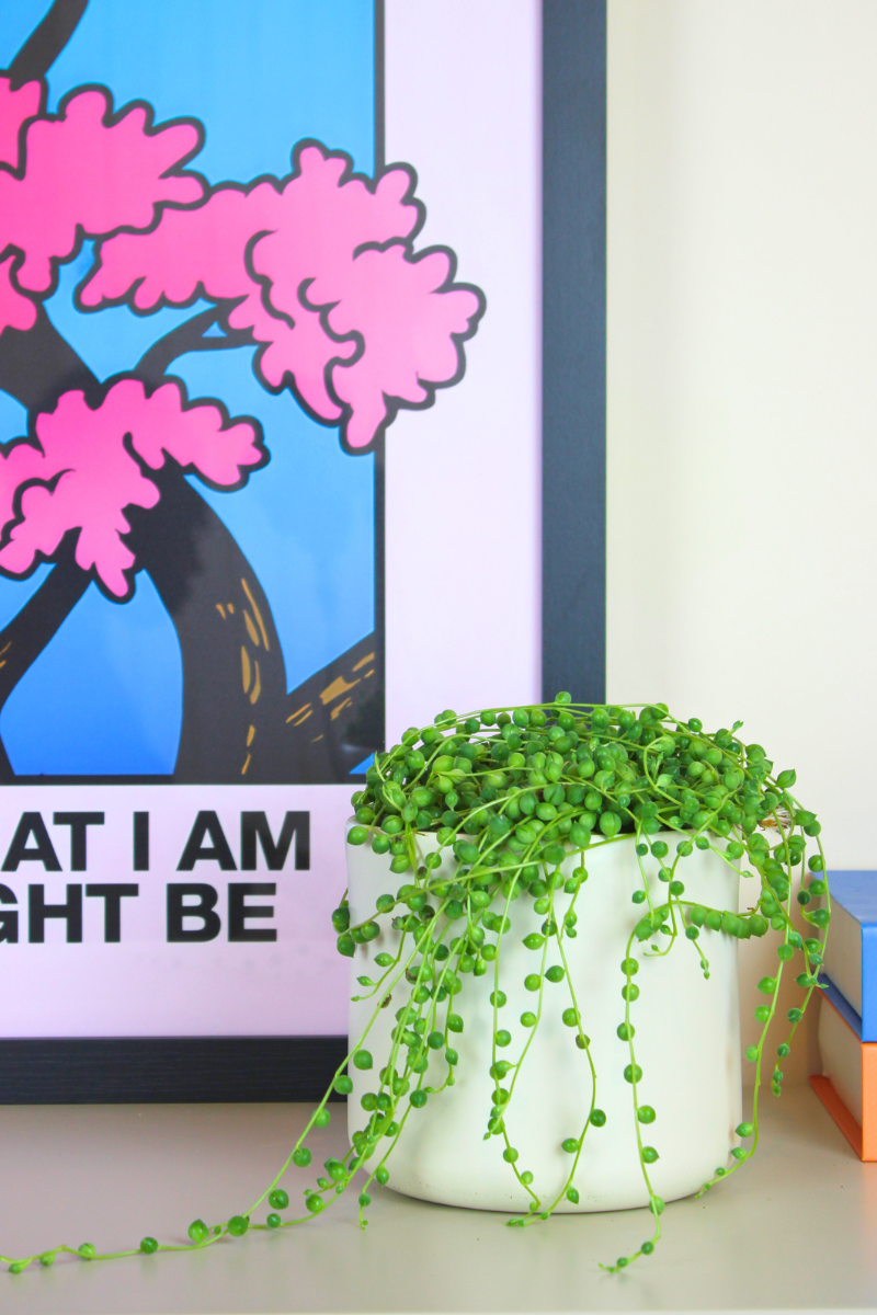 String of Pearls