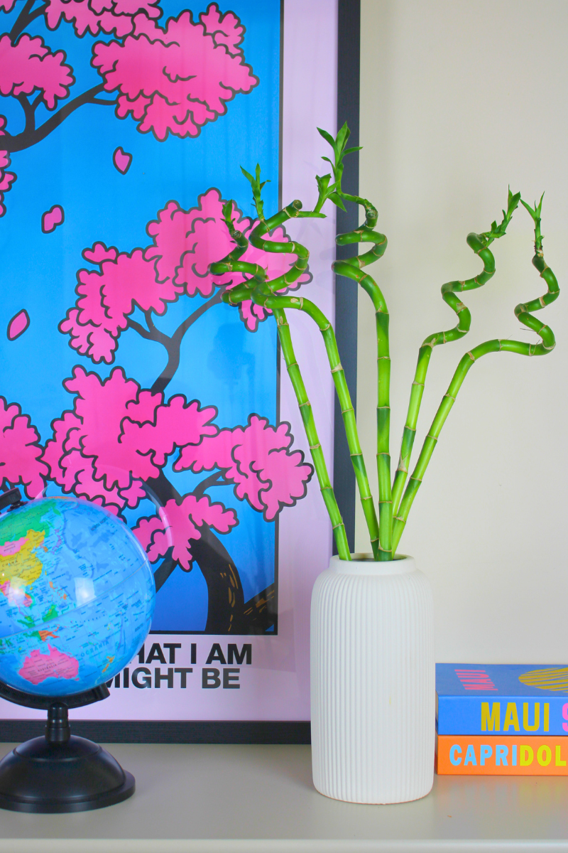 Lucky Bamboo