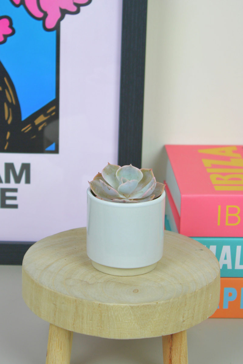 Lil Topsy Turvy